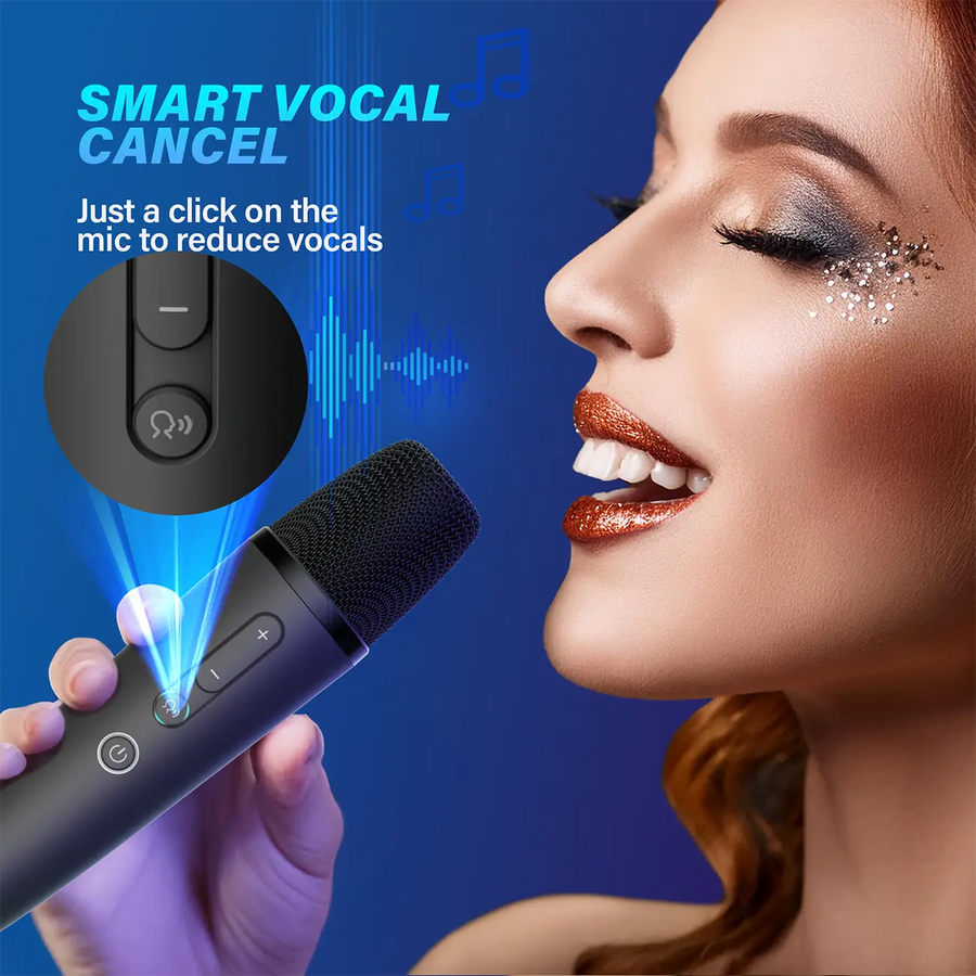 MAGICSTAR D'Maestro Professional Home Karaoke System