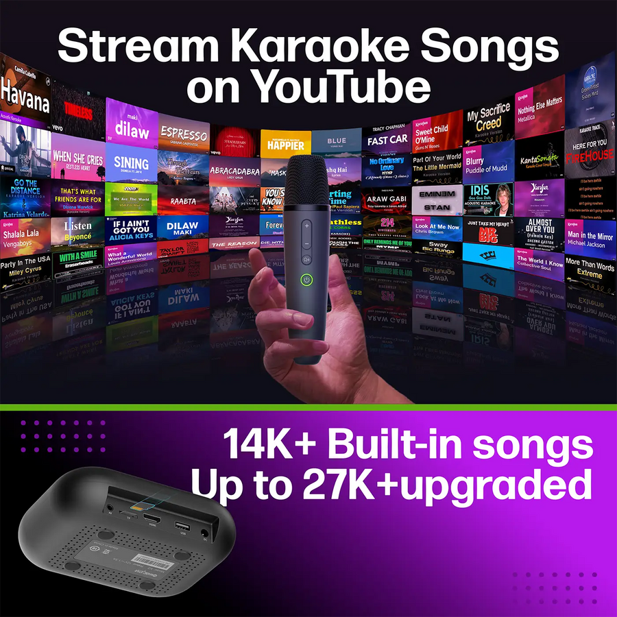 MAGICSTAR D'Maestro Professional Home Karaoke System