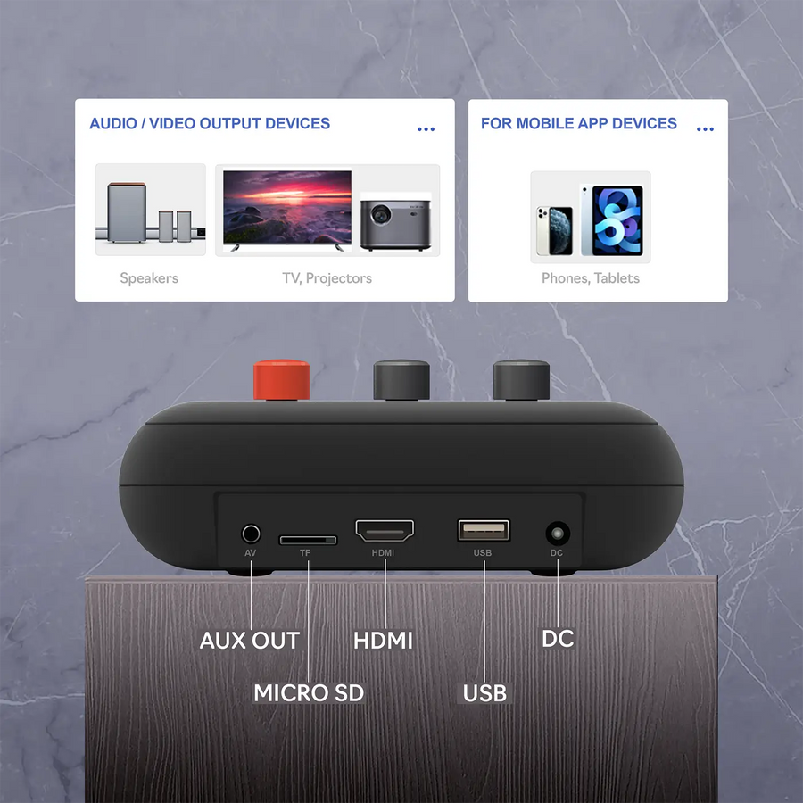 MAGICSTAR D'Maestro MS-A15 Professional Home Karaoke System