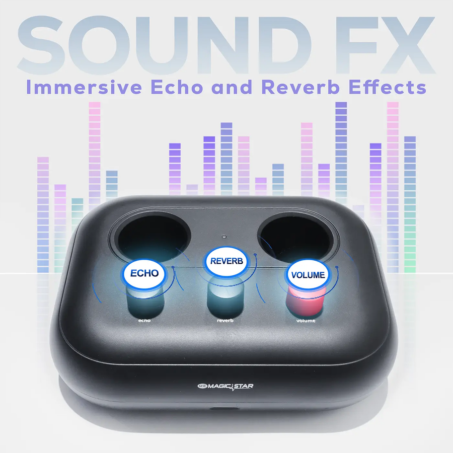 MAGICSTAR D'Maestro MS-A15 Professional Home Karaoke System