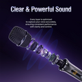 Magic Star UHF Wireless Microphones