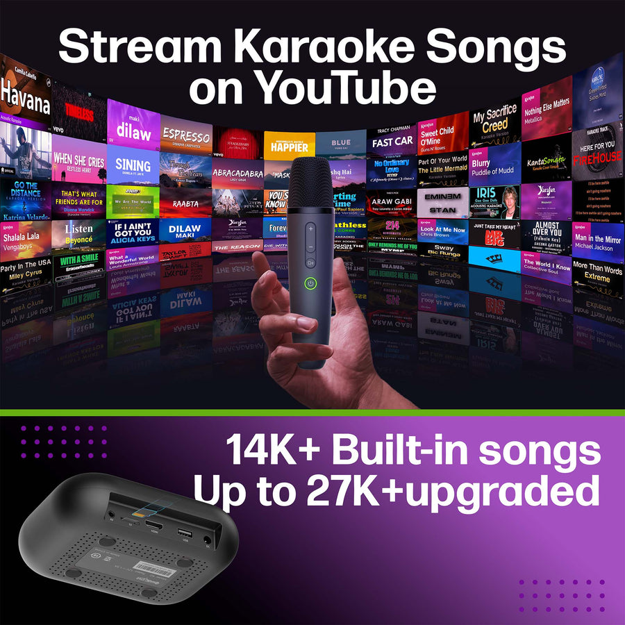 D'Maestro MS-A15 + BoomBox L-2811 Karaoke Party Bundle