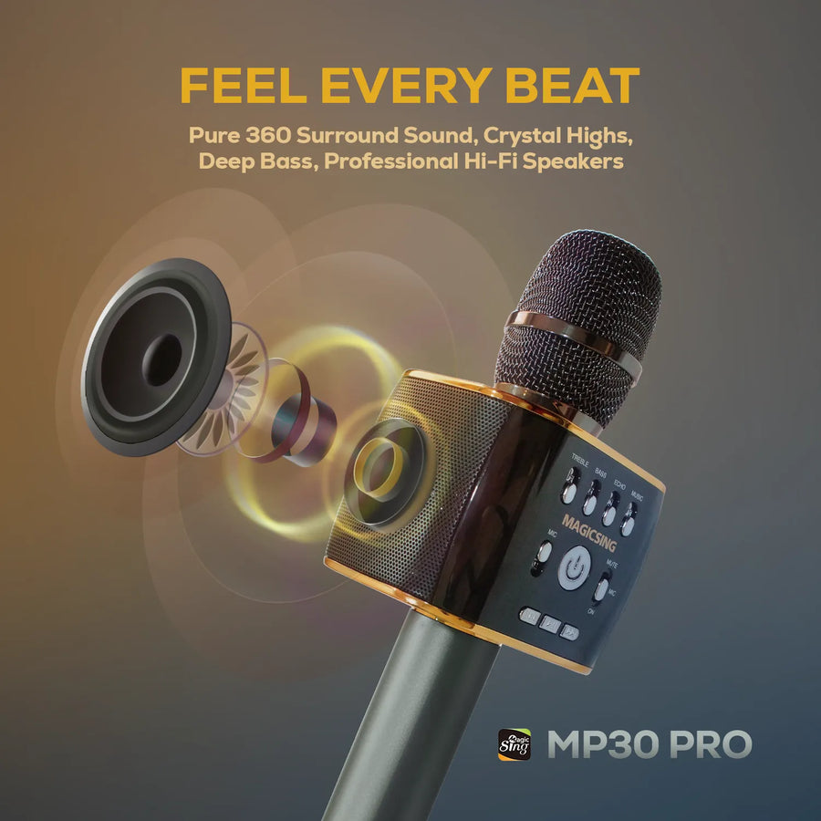 MP30 MagicSing All-in-One Karaoke Microphone