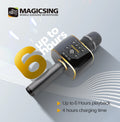 MP30 MagicSing All-in-One Karaoke Microphone