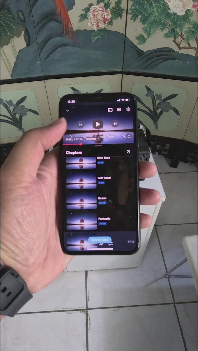 DEMO — PHONE VS PULZ