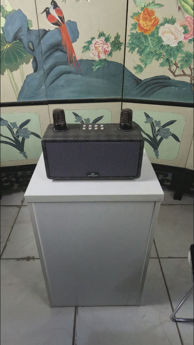 DEMO — VOICE REDUCTION LIVE