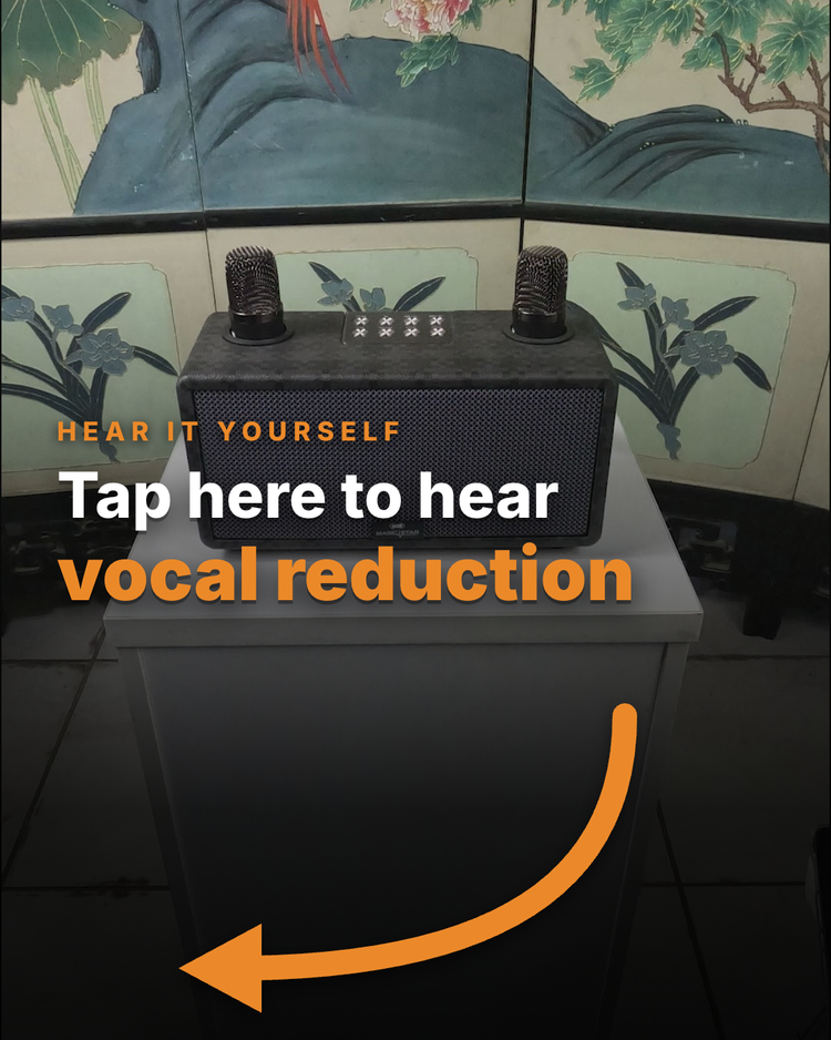 PulZ vocal reduction demonstration