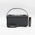 MAGICSTAR PulZ with 2 Wireless Microphones